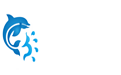 域浪科技